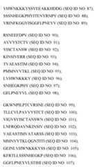 Figure imgf000041_0001