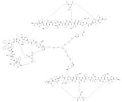 Figure 0007704732000055