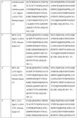 Figure imgf000029_0001