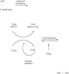 Figure US07868011-20110111-C00001