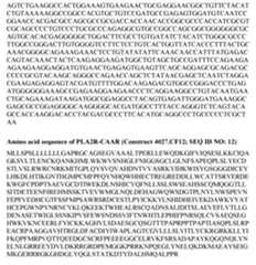 Figure imgf000062_0001