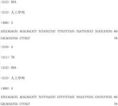 Figure IDA00003153523400021