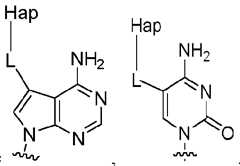 Figure imgf000039_0002
