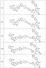 Figure BDA0003783300830002191