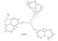 Figure 109124760-A0202-12-0028-14