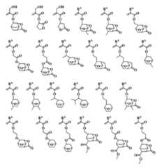 Figure JPOXMLDOC01-appb-C000039