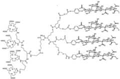 Figure imgf000018_0001