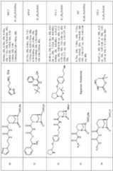 Figure imgf000047_0001