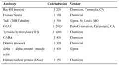 Figure imgf000095_0001