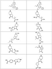 Figure FDA0003122494510000141