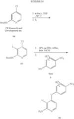 Figure US07714138-20100511-C00025