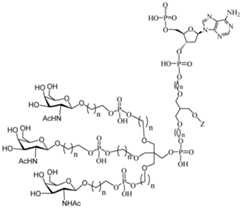 Figure imgf000118_0001