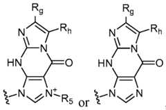 Figure imgf000011_0002