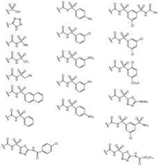 Figure imgf000004_0001