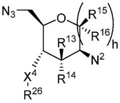 Figure imgf000021_0003