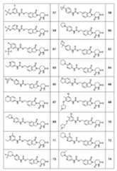 Figure 2024504932000062