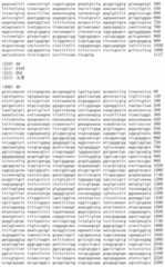 Figure IDA00002091897100531