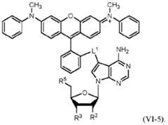 Figure imgf000066_0002