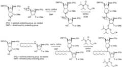 Figure imgf000325_0001