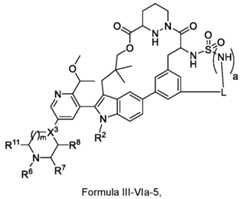 Figure imgf000109_0001