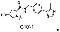 Figure FDA0003786394080000041