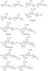 Figure imgf000386_0001