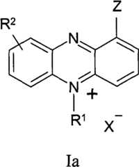 Figure BPA00001263293900141