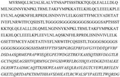 Figure BDA0002478460740002321