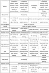 Figure imgf000065_0001