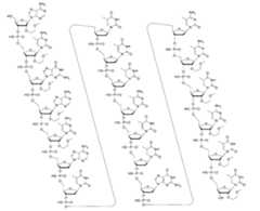 Figure 107139428-A0305-02-0056-17