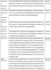 Figure imgf000228_0001