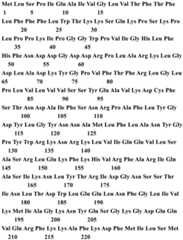 Figure BDA0001145126730000782