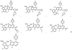 Figure PCTCN2022136857-appb-000008