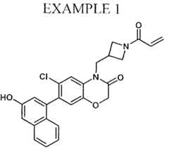 Figure imgf000033_0001