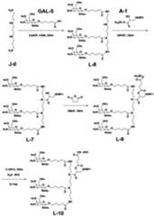 Figure PCTCN2019128686-APPB-000064