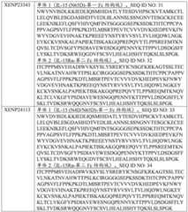 Figure BDA0003762821880000581