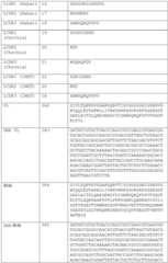 Figure BDA0002591526010000361