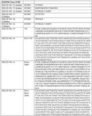 Figure imgf000035_0001