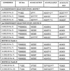Figure imgf000026_0001