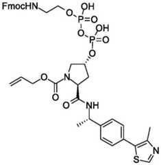 Figure BDA0004113777320001411