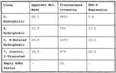 Figure imgf000030_0001