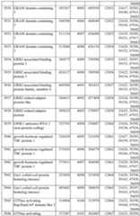 Figure imgf000342_0001