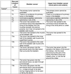 Figure imgf000032_0001