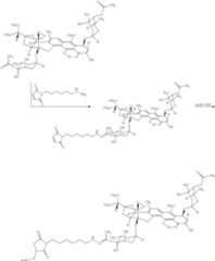 Figure US09775915-20171003-C00167