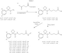 Figure US08604244-20131210-C00033