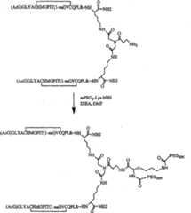 Figure A20048001962601071