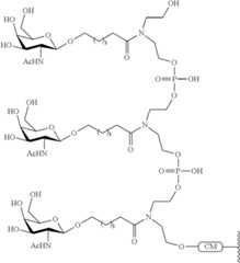 Figure US09181550-20151110-C00342