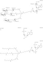 Figure US10927372-20210223-C00248