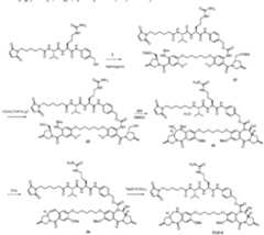 Figure imgf000148_0001