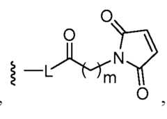 Figure imgf000113_0004